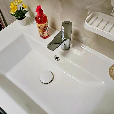 Ana * טימישוארה