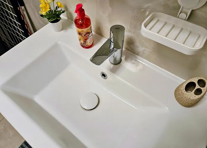 Ana * Тимишоара