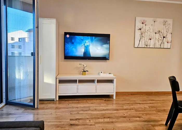 Apartment Ana Timisoara