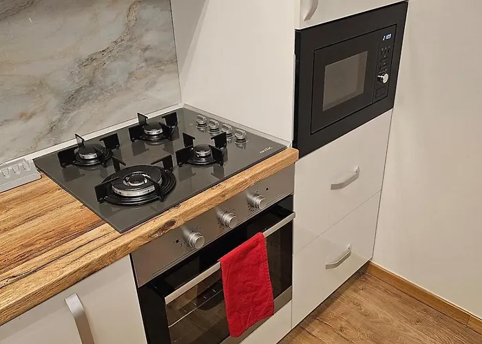 Ana ティミショアラ